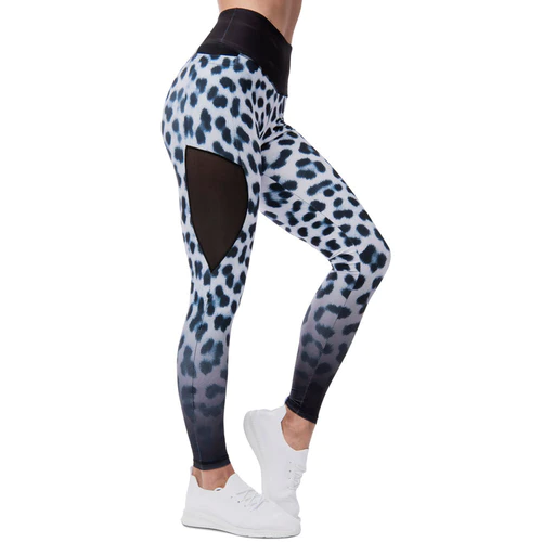 Siberia Mesh Panel Leggings XS